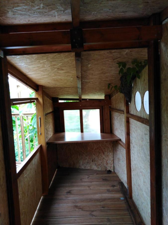 Six Steps From The Forest Zigos  Exterior photo