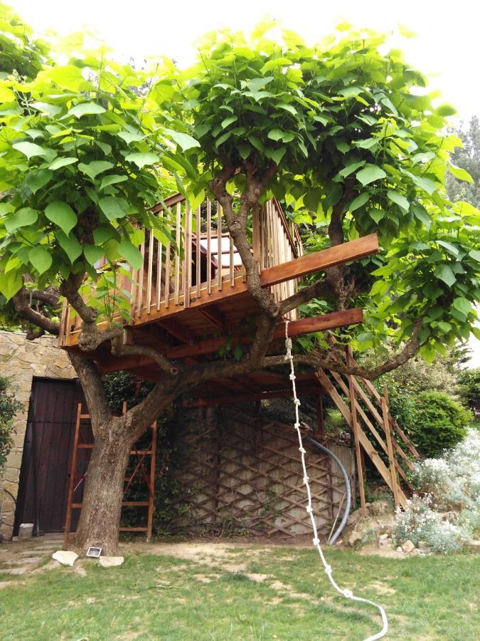 Six Steps From The Forest Zigos  Exterior photo
