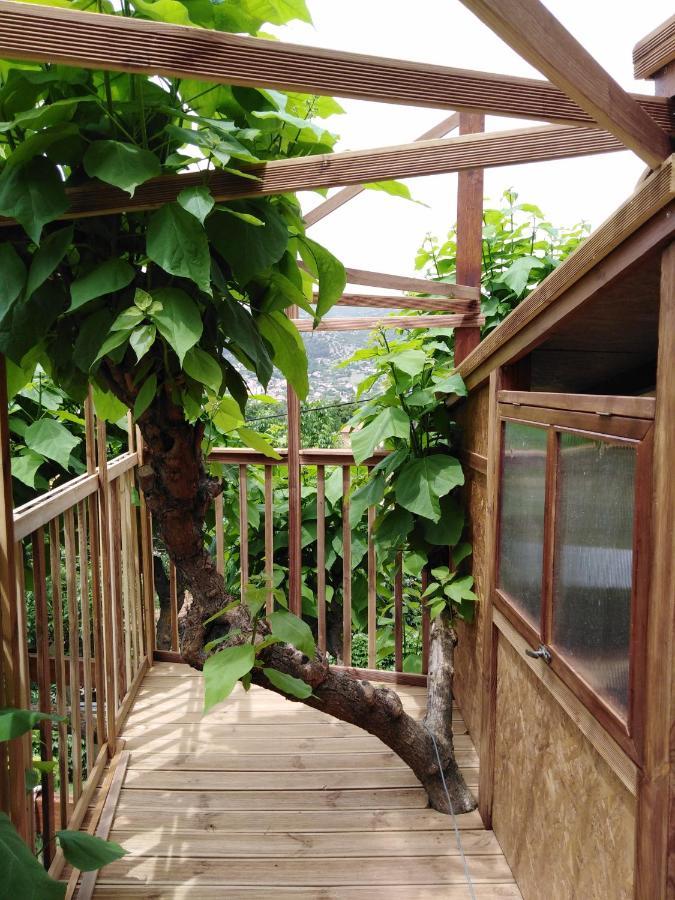 Six Steps From The Forest Zigos  Exterior photo