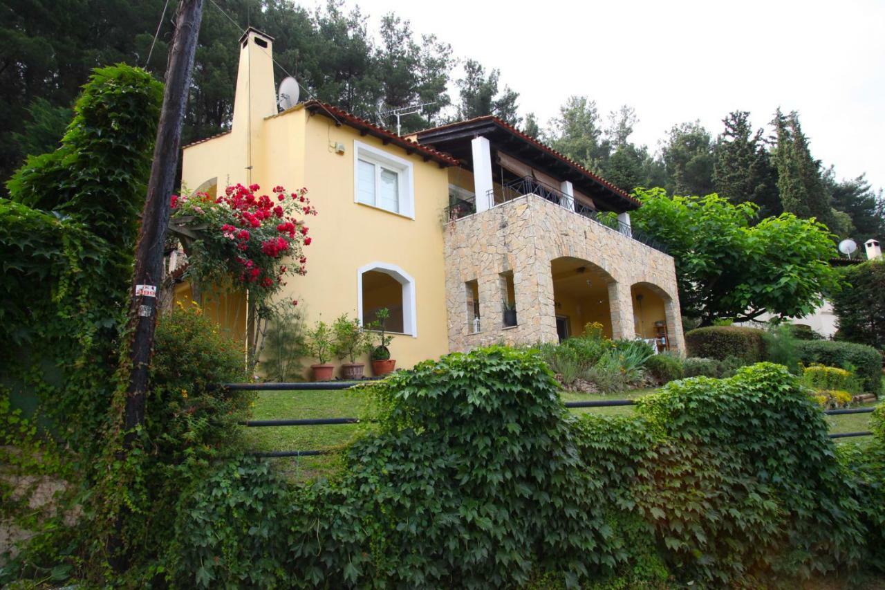 Six Steps From The Forest Zigos  Exterior photo