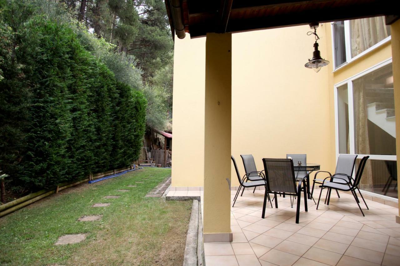 Six Steps From The Forest Zigos  Exterior photo