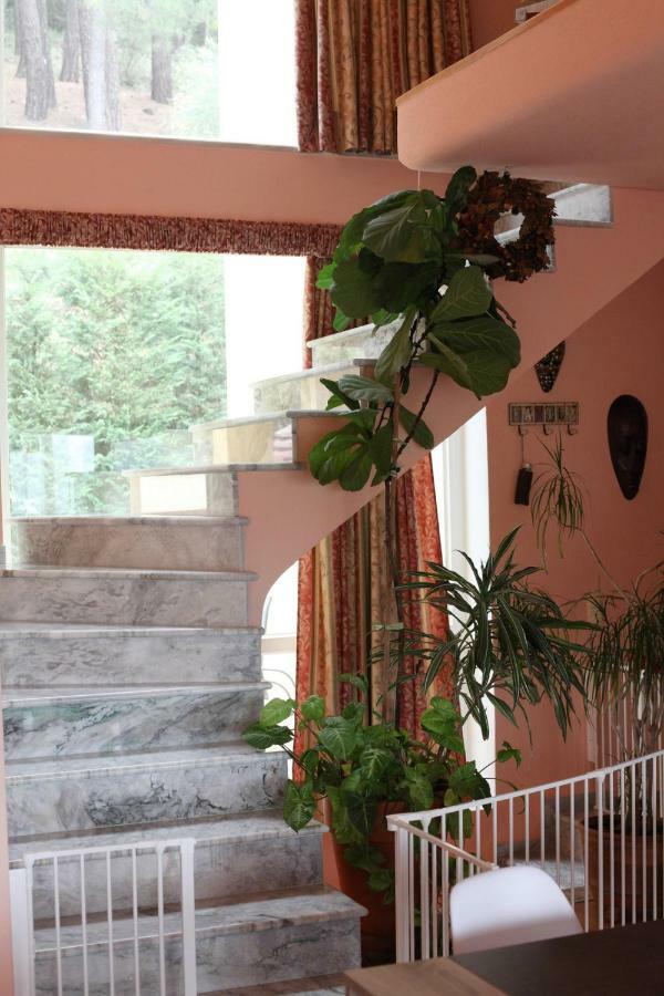Six Steps From The Forest Zigos  Exterior photo