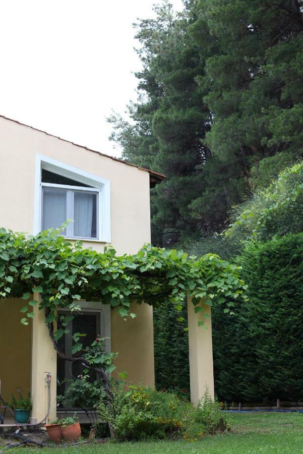 Six Steps From The Forest Zigos  Exterior photo