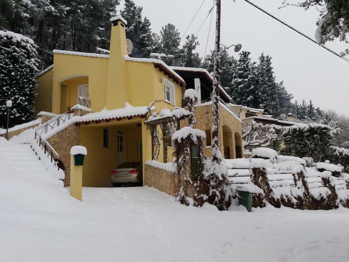 Six Steps From The Forest Zigos  Exterior photo