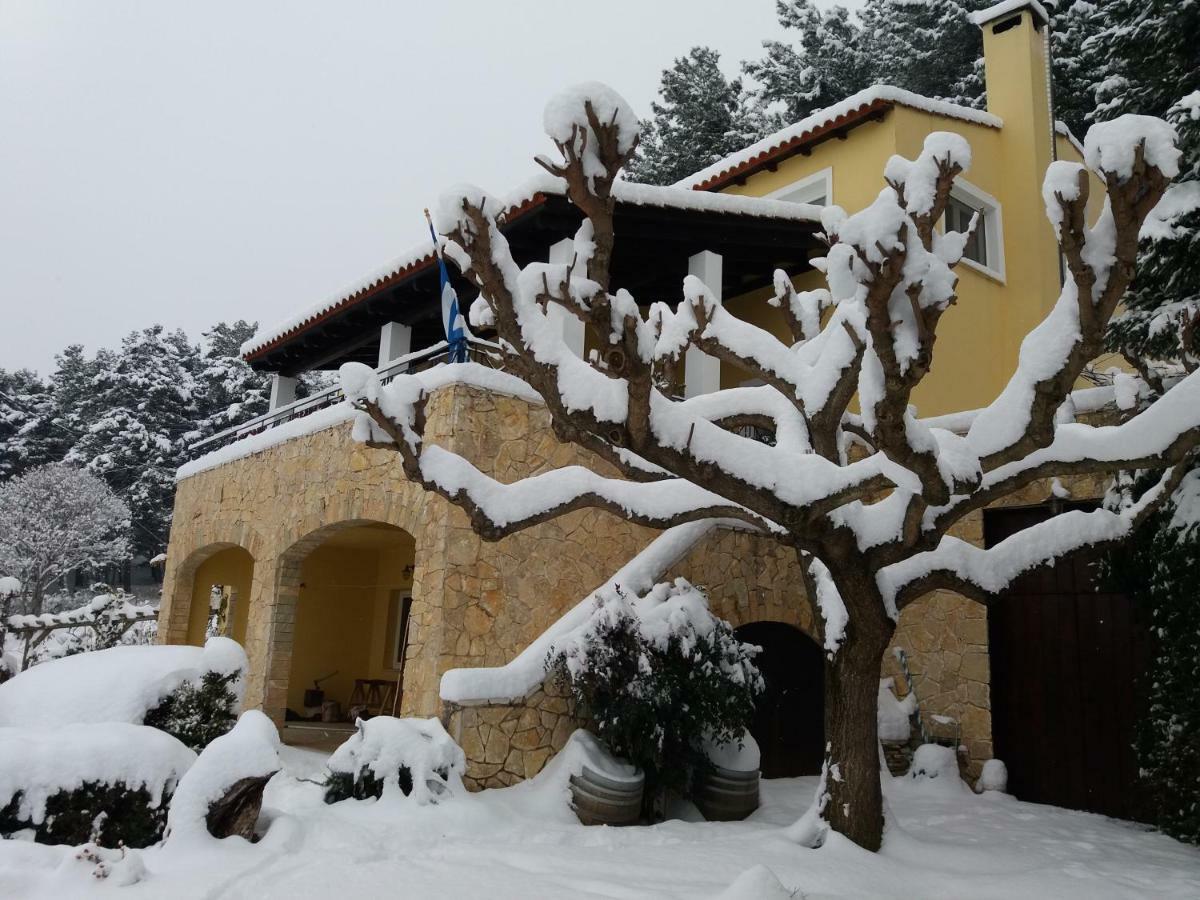 Six Steps From The Forest Zigos  Exterior photo