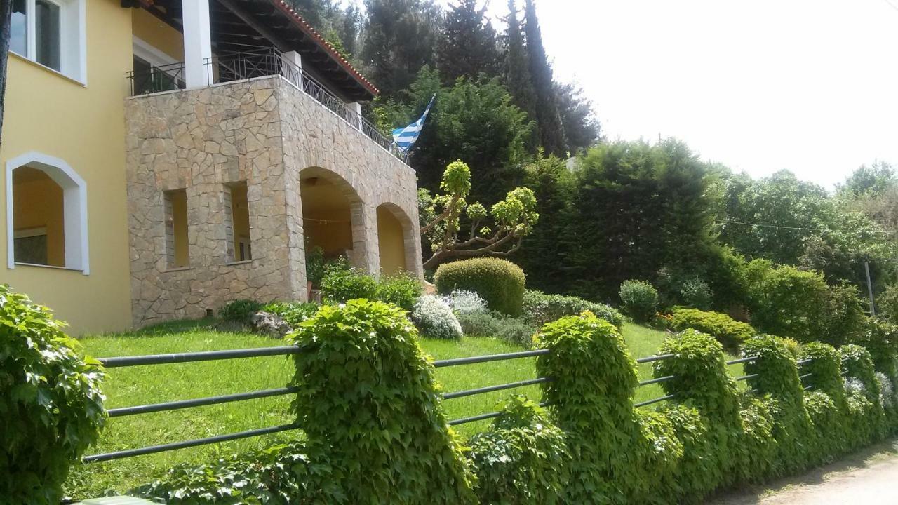 Six Steps From The Forest Zigos  Exterior photo